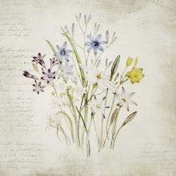Wild Flowers Three | Obraz na stenu