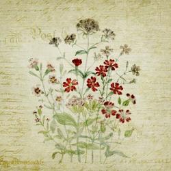 Flower Print Three | Obraz na stenu