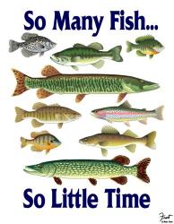 So Many Fish So Little Time | Obraz na stenu