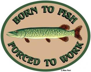 Born To Fish Forced To Work | Obraz na stenu
