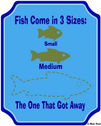 Fish Are 3 Sizes | Obraz na stenu