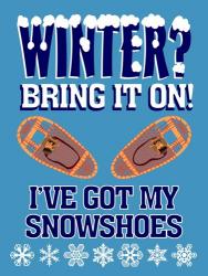 Winter Bring It Snowshoes | Obraz na stenu