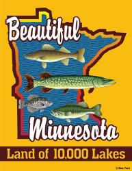 Beautiful Minnesota | Obraz na stenu