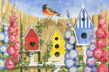 Bird House Row | Obraz na stenu