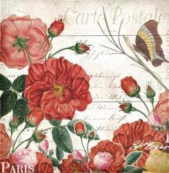 Paris Rose | Obraz na stenu