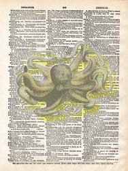 Dreadful Octopus IV | Obraz na stenu