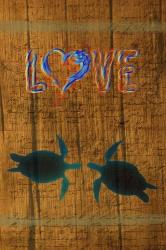Turtle Love | Obraz na stenu