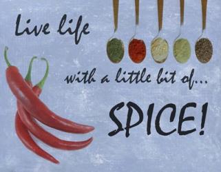 Spice | Obraz na stenu