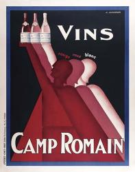 Vins Camp Romain | Obraz na stenu