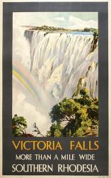 Victoria Falls | Obraz na stenu