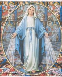 Virgin Mary | Obraz na stenu