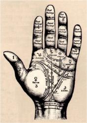 Palmistry | Obraz na stenu