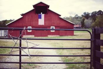 American Barn | Obraz na stenu