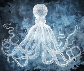 Blue Octopus | Obraz na stenu