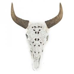 Ox Skull | Obraz na stenu