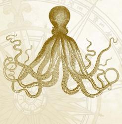 Rose Compass Octopus | Obraz na stenu