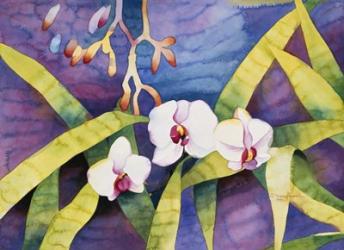 Water Orchids | Obraz na stenu