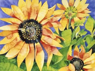 Magic Sunflowers | Obraz na stenu