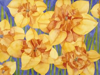 Yellow Daffodils | Obraz na stenu
