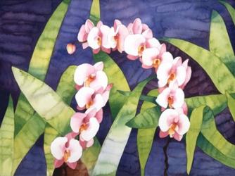 Sacred Orchids | Obraz na stenu