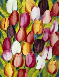Colorful Tulips | Obraz na stenu
