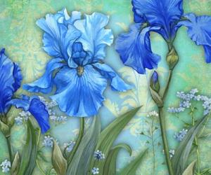 3 Irises | Obraz na stenu