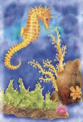 Seahorse | Obraz na stenu