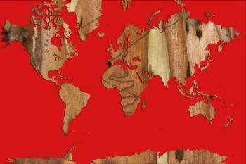 Wood Bark World Map 1 | Obraz na stenu