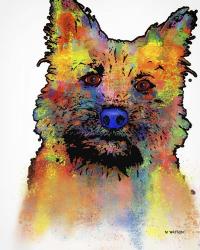Cairn Terrier 1 | Obraz na stenu