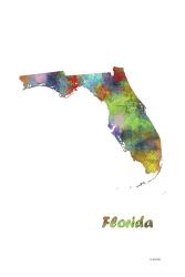 Florida State Map 1 | Obraz na stenu
