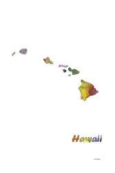 Hawaii State Map 1 | Obraz na stenu