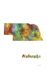 Nebraska  State Map 1 | Obraz na stenu