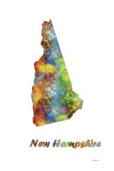New Hampshire State Map 1 | Obraz na stenu