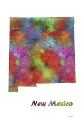 New Mexico State Map 1 | Obraz na stenu