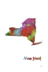 New York State Map 1 | Obraz na stenu
