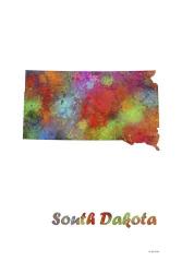 South Dakota State Map 1 | Obraz na stenu