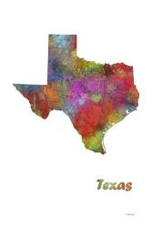 Texas State Map 1 | Obraz na stenu