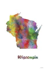 Wisconsin State Map 1 | Obraz na stenu