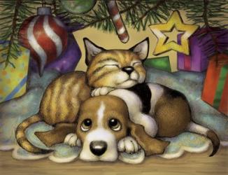 Kitten Pup | Obraz na stenu