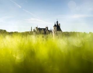 Chenonceau | Obraz na stenu