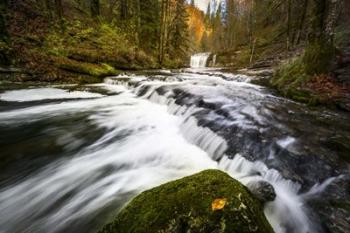 Magical Autumn | Obraz na stenu
