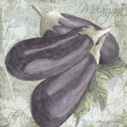 Buon Appetito Eggplant | Obraz na stenu