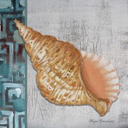 Spotted Conch Seashell - Side Border And Gray Crackle Back | Obraz na stenu