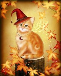 Autumn Cat Magic | Obraz na stenu