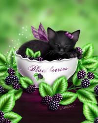 Blackberry Kitten | Obraz na stenu