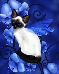 Sapphire Cat | Obraz na stenu