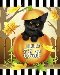 Hello Fall Cat | Obraz na stenu