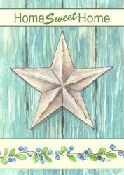 Blue Star Sweet Home | Obraz na stenu