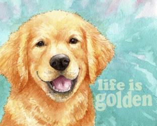 Life Is Golden Retriever | Obraz na stenu