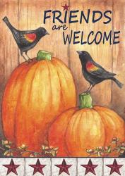 Pumpkin Blackbird Friends Welcome | Obraz na stenu